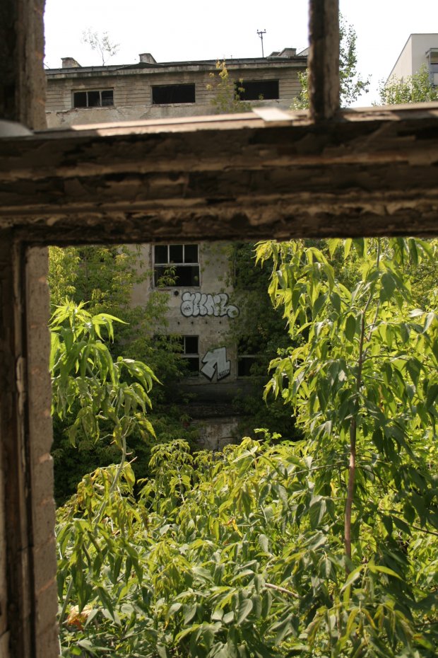 Graffiti Bombing - Photo by AHNL - ahnl (2014)