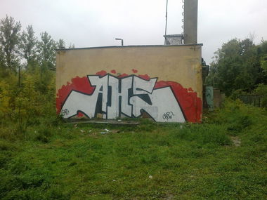 Graffiti Bombing - Photo by AHSCREW - x (2013)