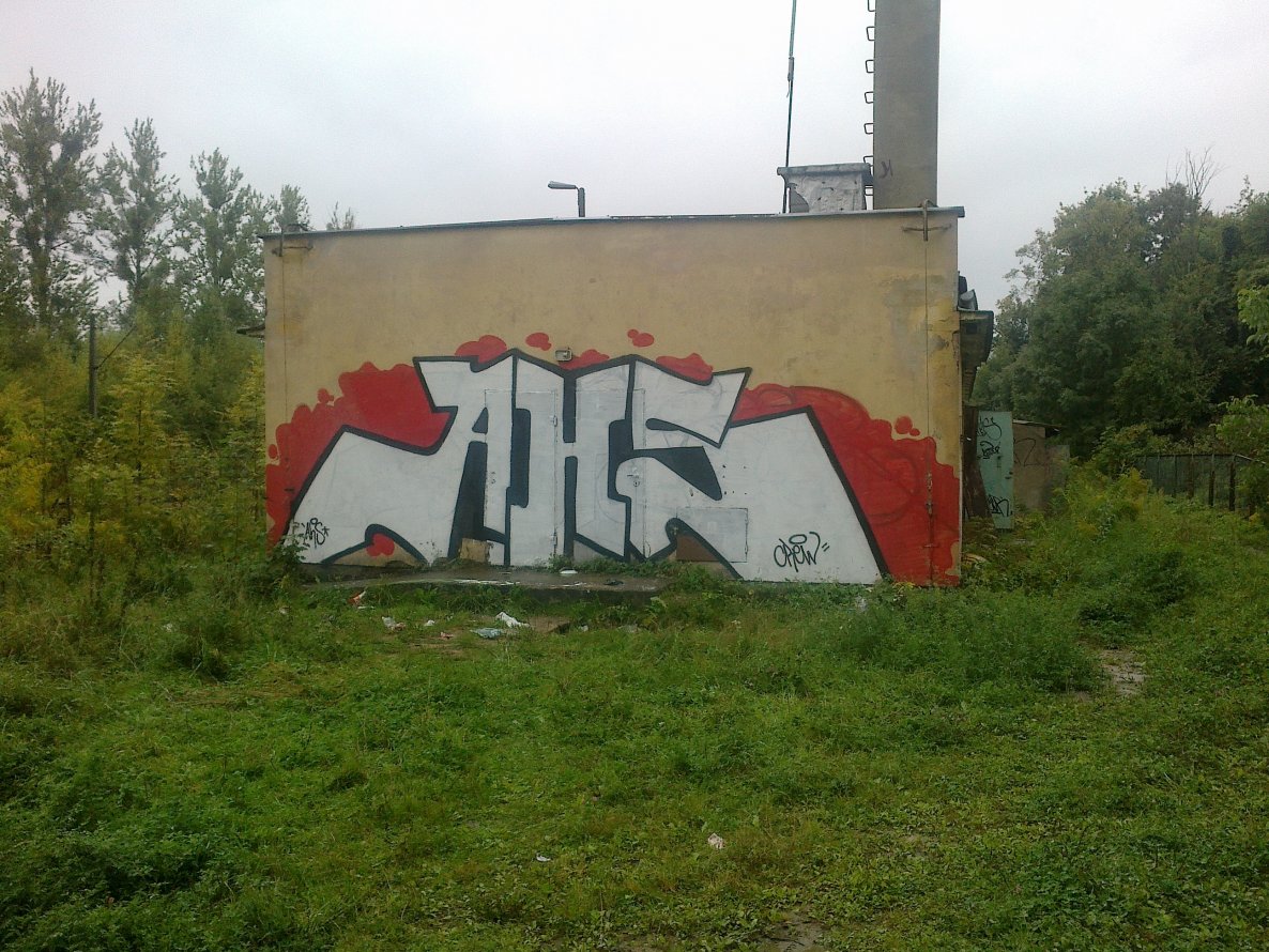 Graffiti Bombing - Photo by AHSCREW - x (2013)