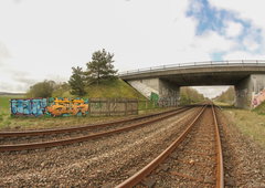 Photo #116929 by dumberone