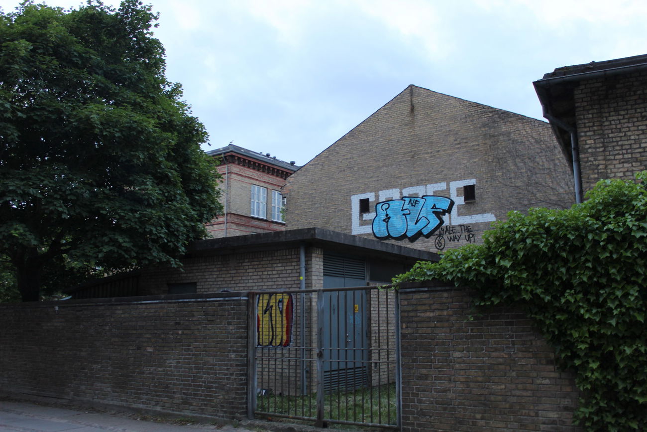 Graffiti Wall in Aalborg - Photo by ALF1 - throwup, alf, alfone (2016)