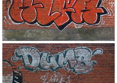 Photo #126113 by dumberone