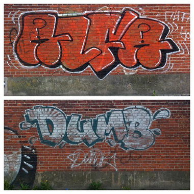 Graffiti Bombing - Photo by ALF1