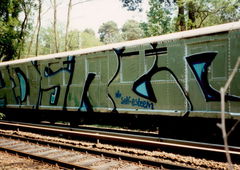 Photo #80148 by dioe48