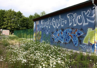 Graffiti Wall in Bayreuth - Photo by AMIDNIGHT - Bayreuth, hls, prof