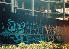 Photo #3497 by iceone