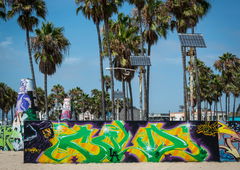 Photo #229279 by DISOE