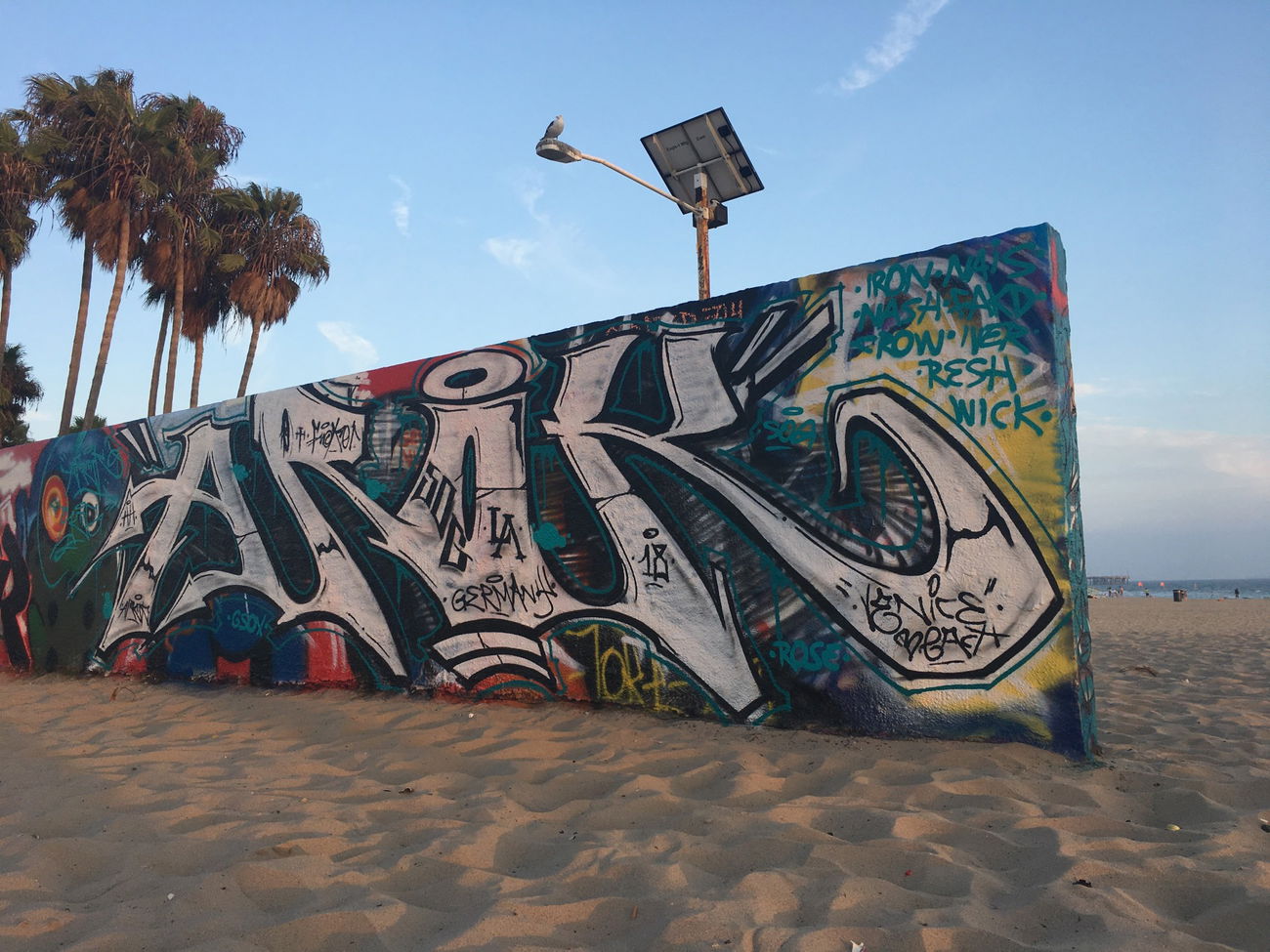 Graffiti Wall - Photo by AROK - aroksoglosangeleslavenicecalifornia (2018)