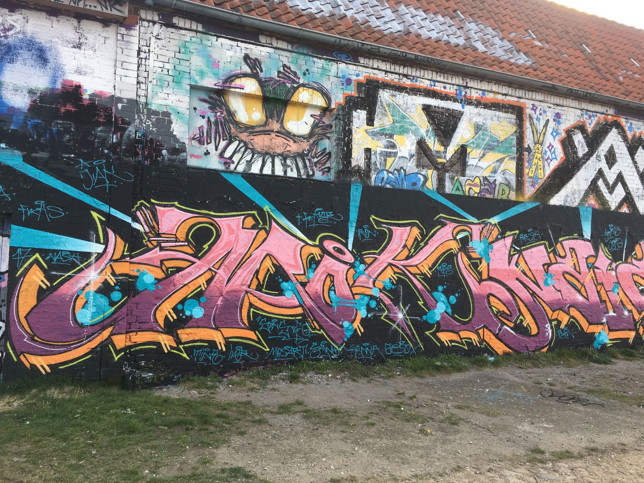 Graffiti Wall - Photo by AROK - SOG (2017)