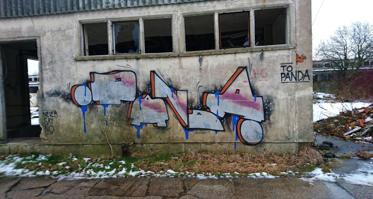 Graffiti Wall in Dresden - Photo by ARTHOOLIGAN - VDE, FDJ