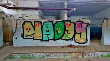 Graffiti Wall in Dresden - Photo by ARTHOOLIGAN - FDJ, VDE