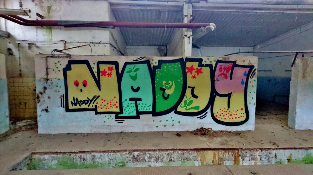 Graffiti Wall in Dresden - Photo by ARTHOOLIGAN - FDJ, VDE