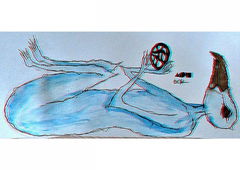 Photo #104052 by matew