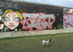 Photo #116771 by smokealot