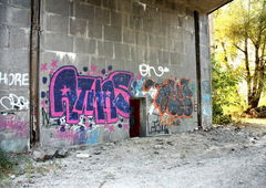 Photo #145542 by Showtime