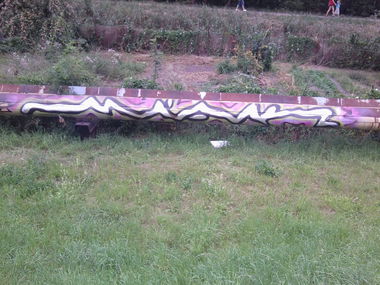 Graffiti Bombing - Photo by ATS_KORUScrew - miak