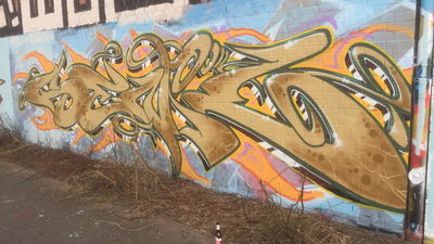 Most Active Members of November 2020