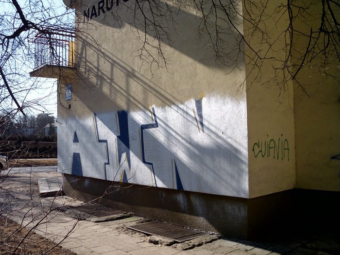 Graffiti Bombing in Inowroclaw - Photo by AWNcrew - AWN (2012)