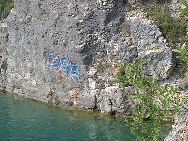 Graffiti Bombing - Photo by AWNcrew - Snak, AWN