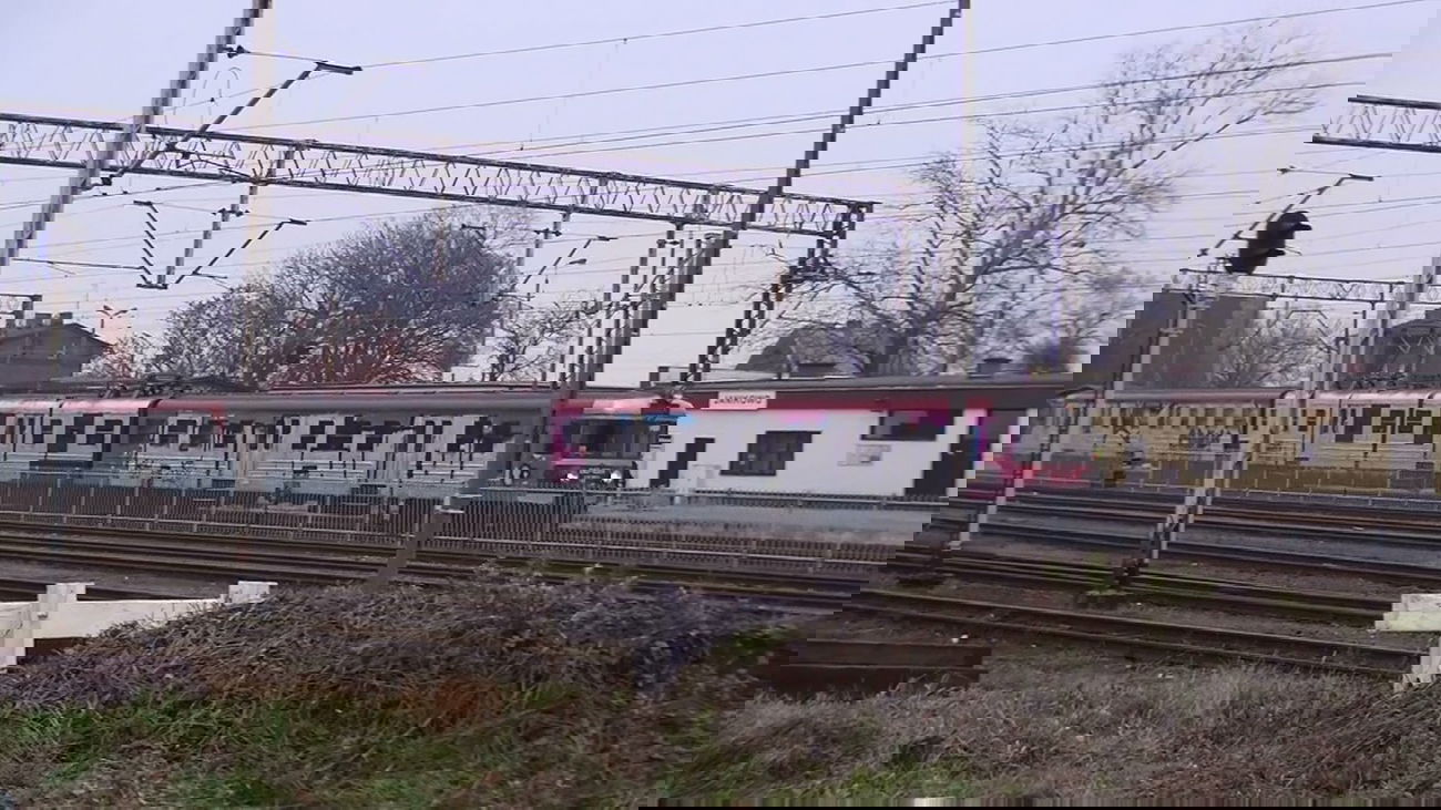 Graffiti Train in Inowroclaw - Photo by AWNcrew - AWN