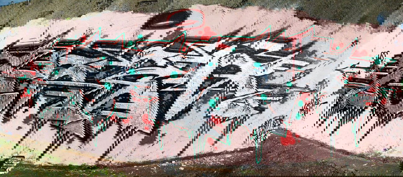 Graffiti Wall - Photo by AWNcrew - Snek, AWN (2014)