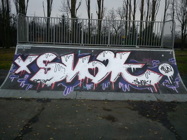 Graffiti Bombing in Inowroclaw - Photo by AWNcrew - Snak, AWN