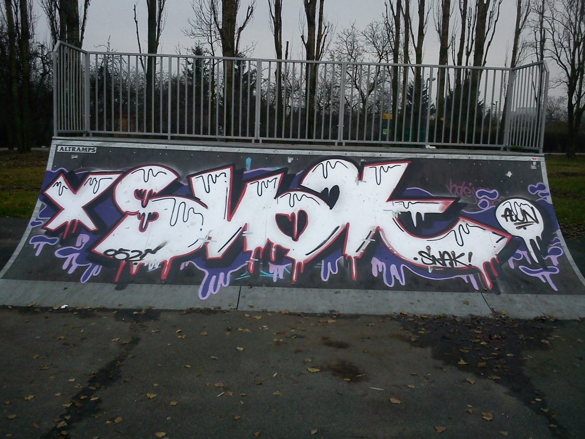 Graffiti Bombing in Inowroclaw - Photo by AWNcrew - Snak, AWN