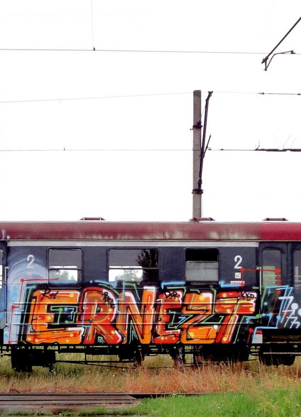 Graffiti Train - Photo by AYU - ernezt, ernest, panel