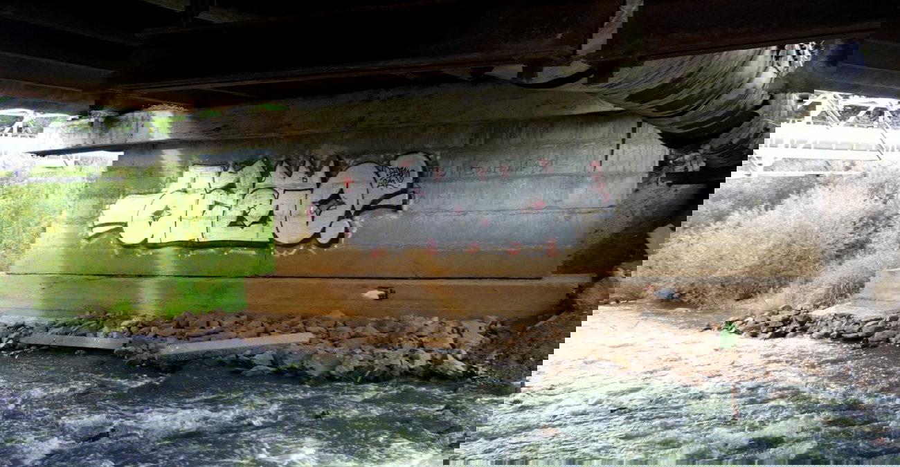 Graffiti Bombing - Photo by AZBO