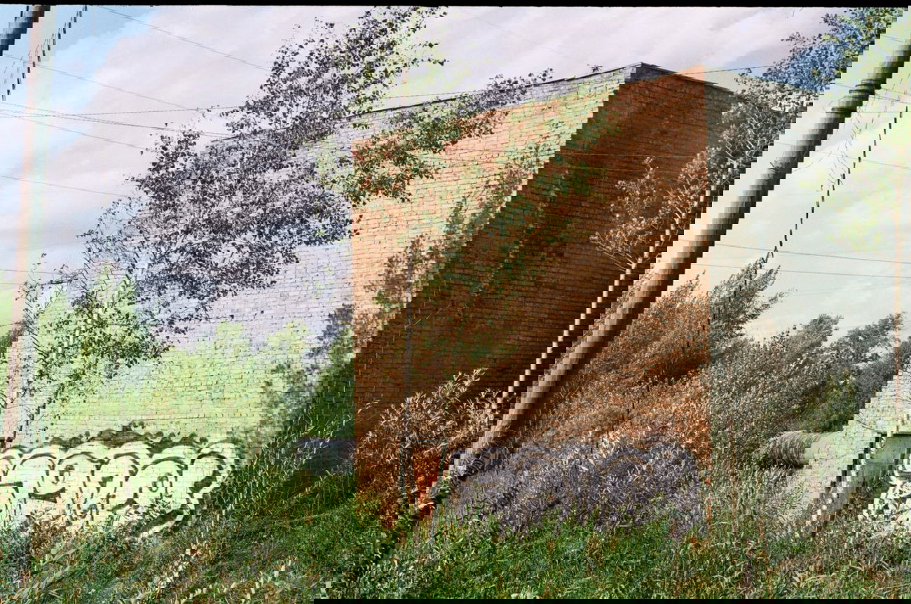 Graffiti Bombing - Photo by AZBO