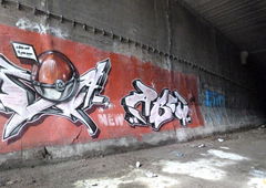 Photo #11573 by Belt