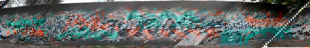 Graffiti Wall - Photo by Abraham - Care, Ziek, Power (2013)