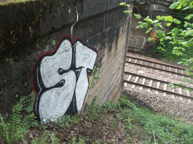 Graffiti Bombing in Landkreis Darmstadt-Dieburg - Photo by AcBa - trainline, st, bombing (2015)
