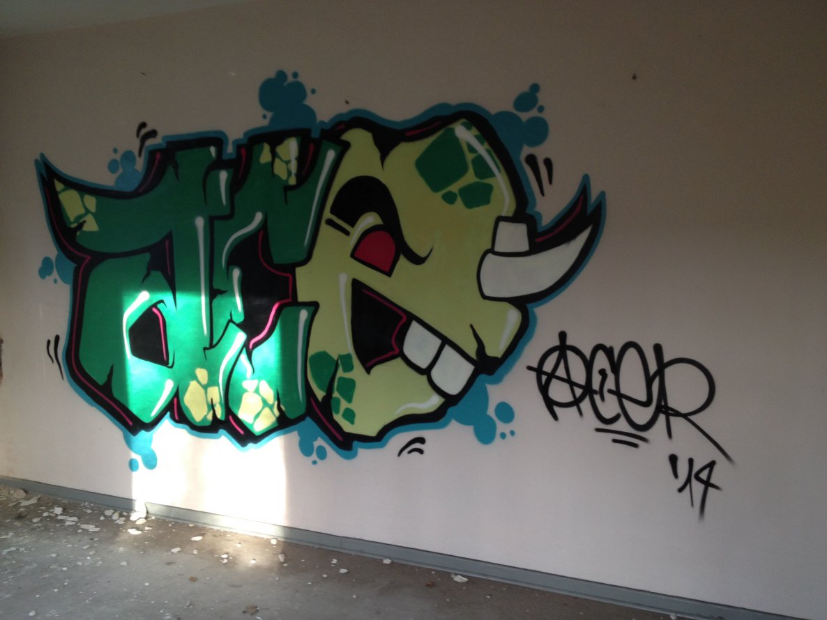 Graffiti Wall - Photo by AcE_One - rhino, aggro, acer