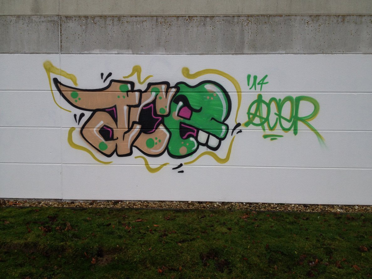 Graffiti Bombing - Photo by AcE_One - ACER, bombing, face