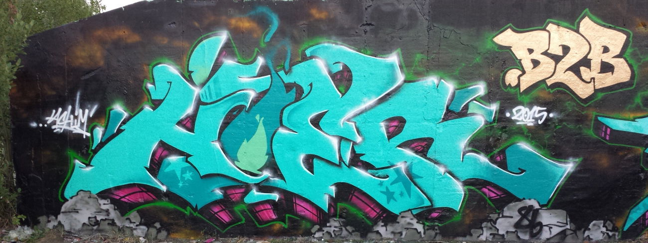 Graffiti Wall - Photo by Achim - Hoer, Achim, 86 (2015)