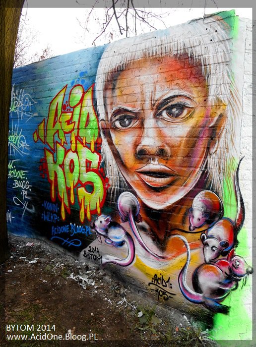 Graffiti Wall - Photo by Acid1 - Bytom, acid (2014)