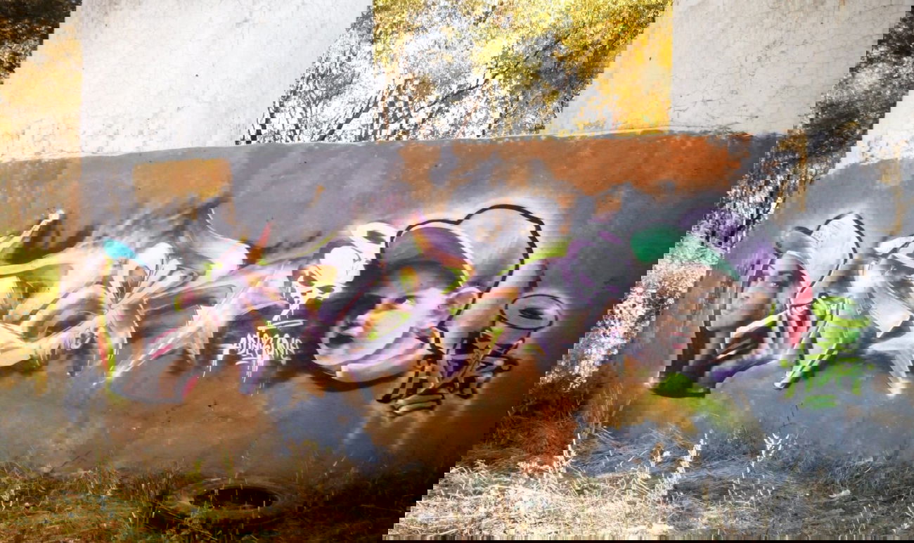 Graffiti Wall - Photo by Ader