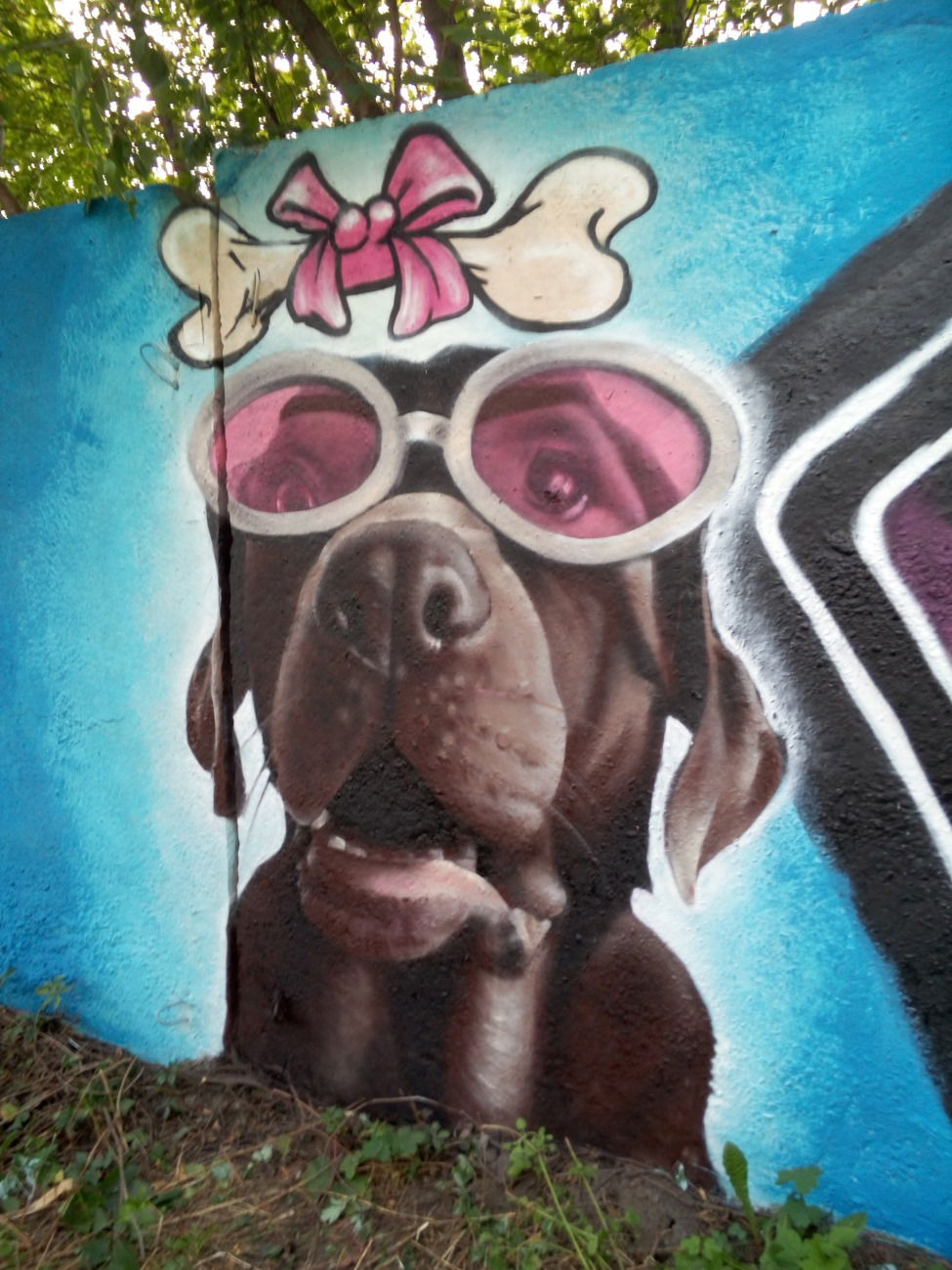 Graffiti Wall in Украина - Photo by Ader