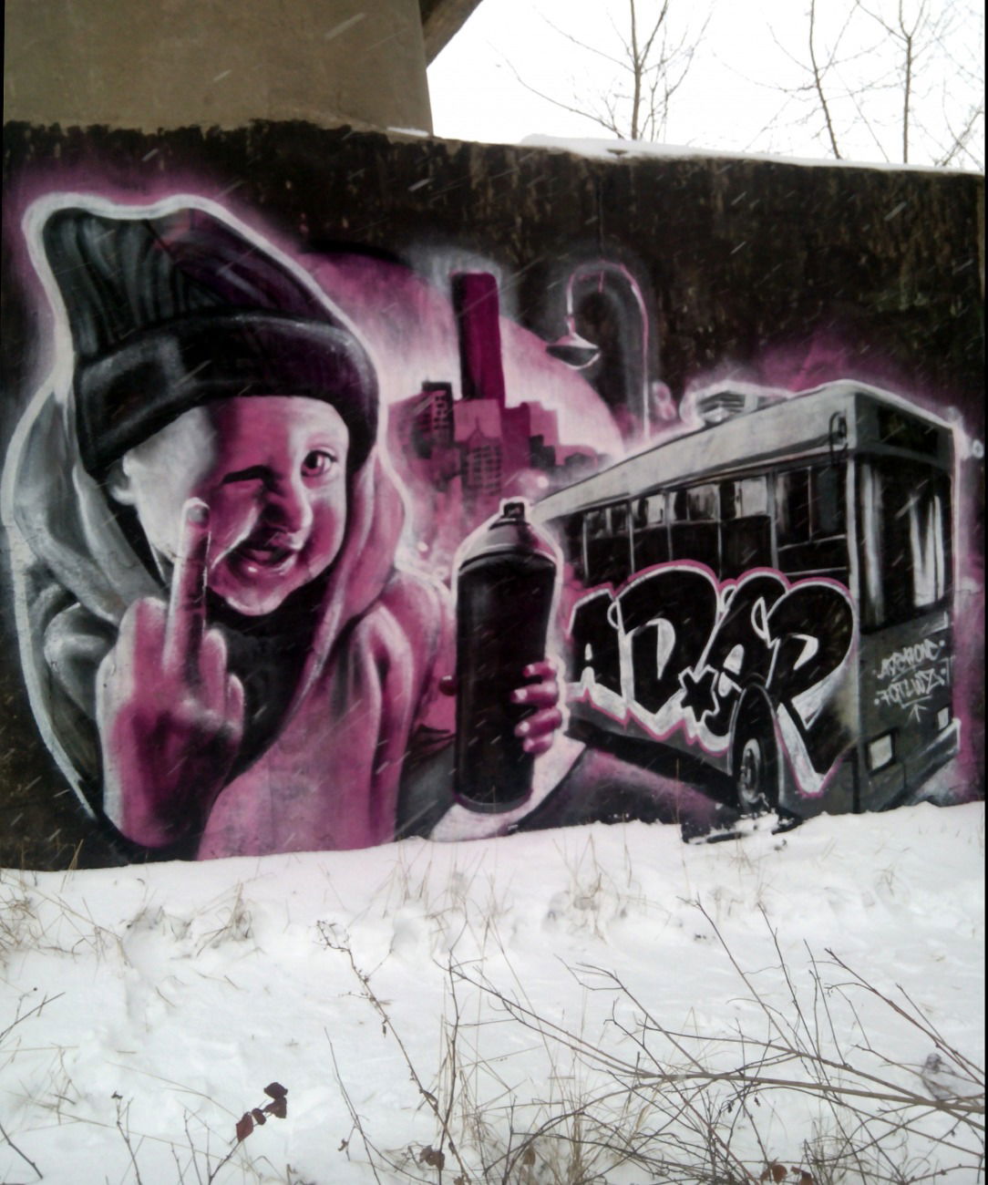 Graffiti Wall - Photo by Ader