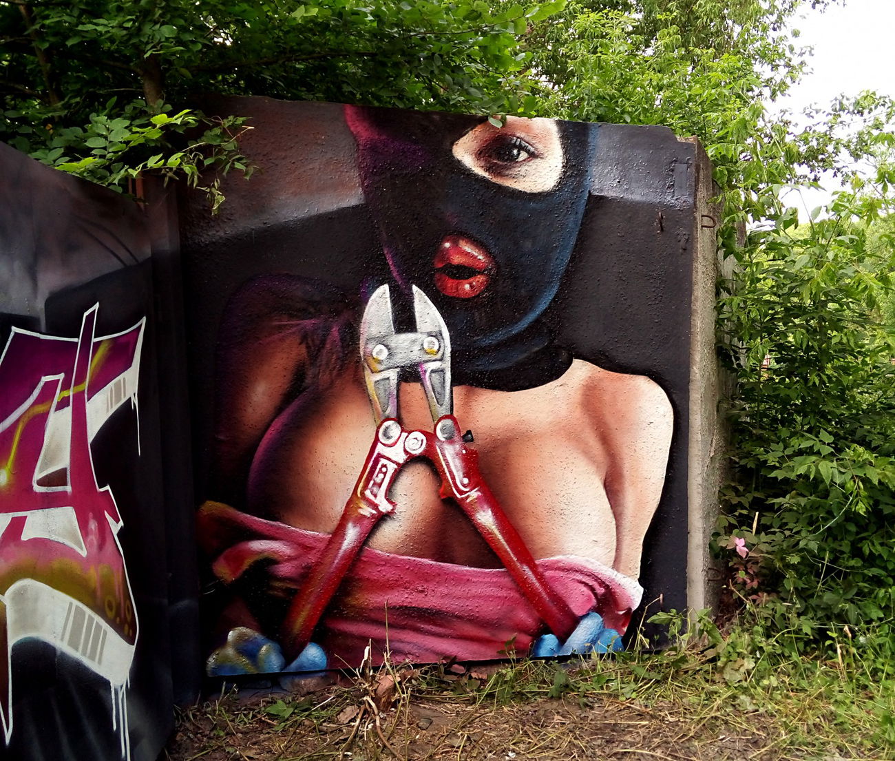 Graffiti Wall - Photo by Ader