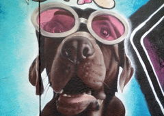 Graffiti Wall in Украина - Photo by Ader