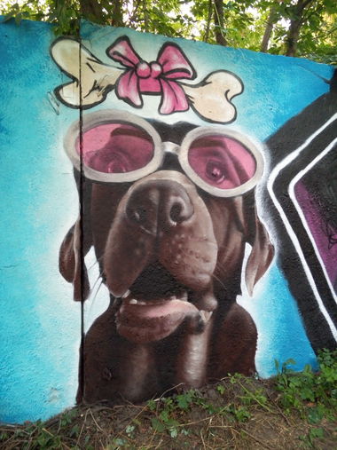 Graffiti Wall in Украина - Photo by Ader