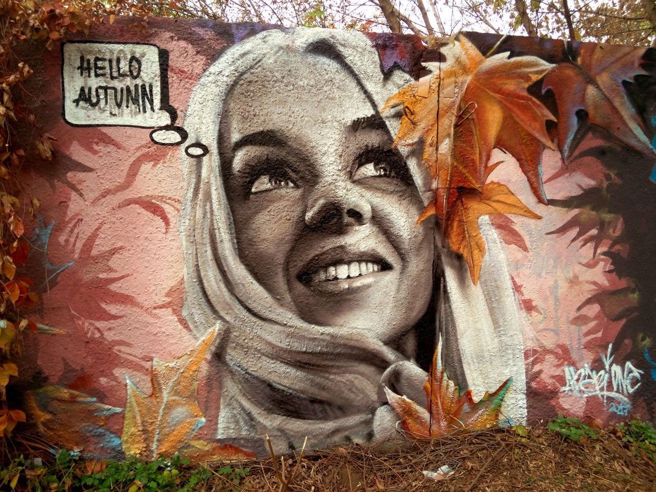 Graffiti Wall in Кузьмичское Сельское Поселение - Photo by Ader (2017)