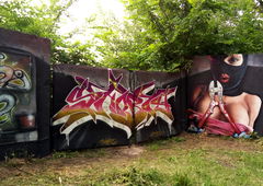 Graffiti Wall in Запольскохалеевичское Сельское Поселение - Photo by Ader