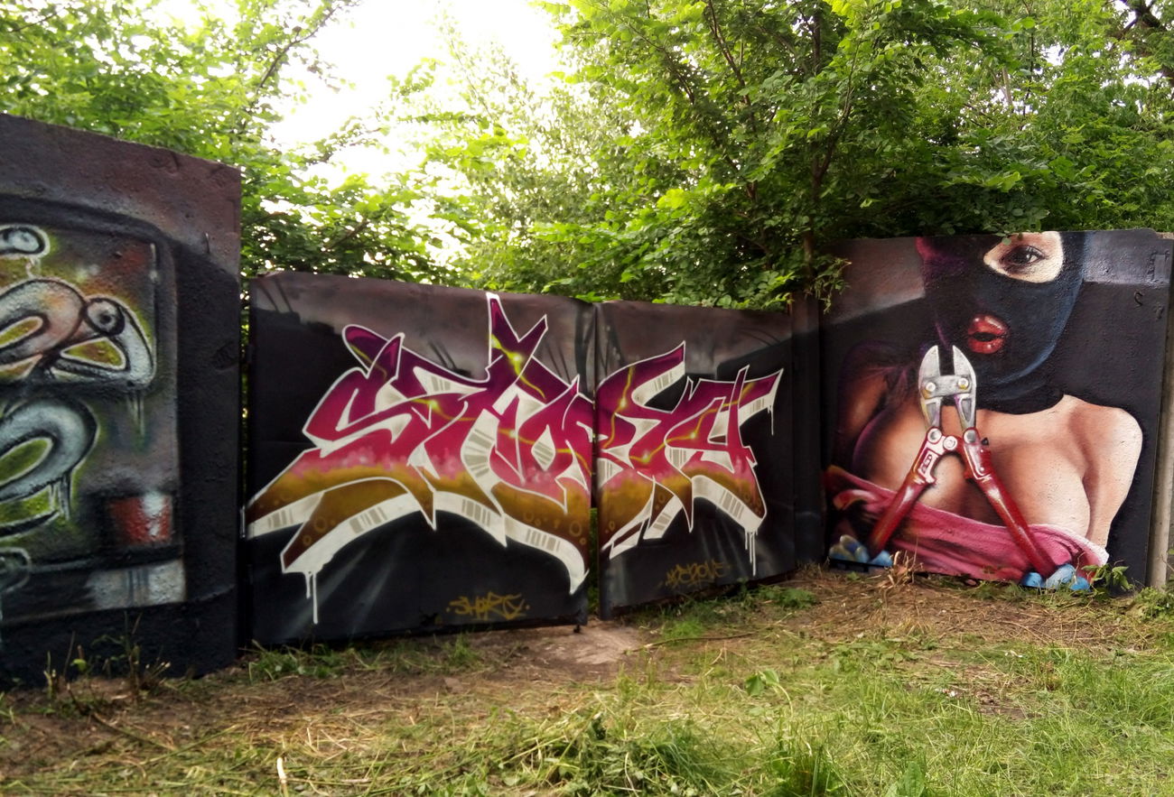 Graffiti Wall in Запольскохалеевичское Сельское Поселение - Photo by Ader