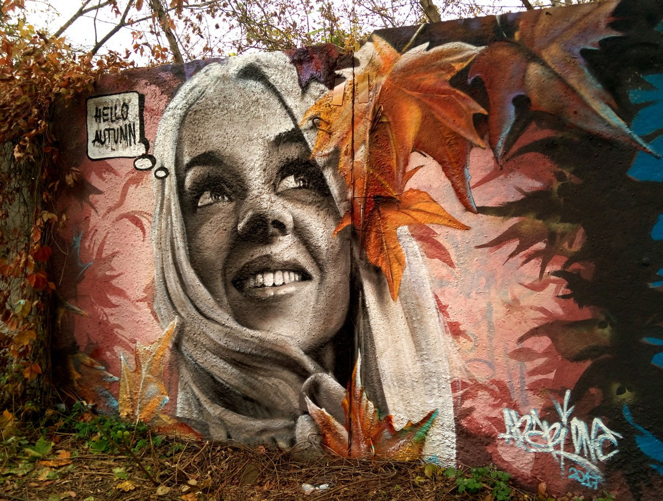 Graffiti Wall in Украина - Photo by Ader (2017)