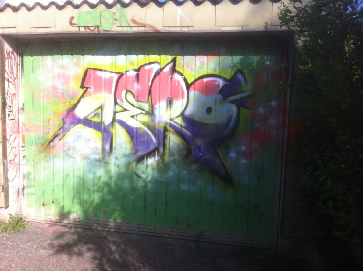 Graffiti Bombing - Photo by Aero