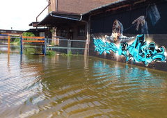 Photo #32569 by Belt