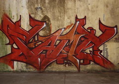 Graffiti Wall in Magdeburg - Photo by AerosolArena - 481 (2012)